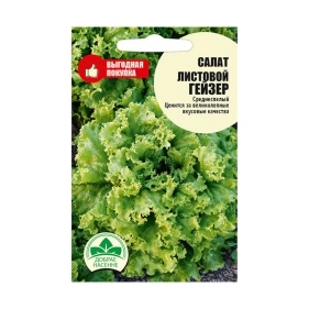 Салат Листовой Гейзер