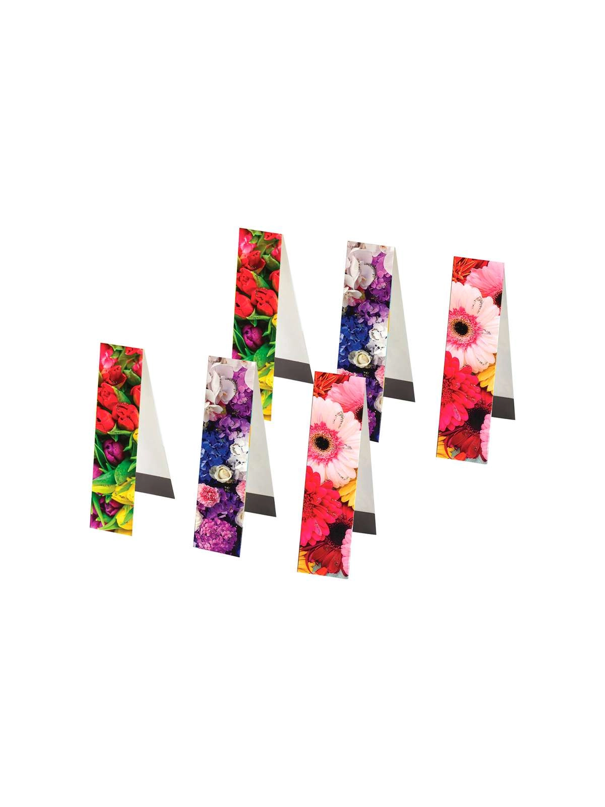 \фото\113797 2.jpg