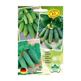 Набор семян Огурец Изящный, огурец Бидретта F1, огурец Либелла F1
