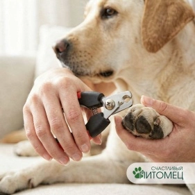 Когтерез, 12.3*4.5 см, пластик, нержав.сталь