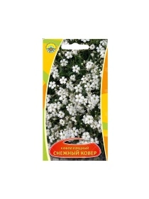 \фото\70504 1.jpg