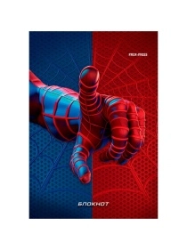 БЛОКНОТ А6 40л. в асс-те, на гребне, цвет.мелов.обл, блок-офсет ПХ, Б40-7341