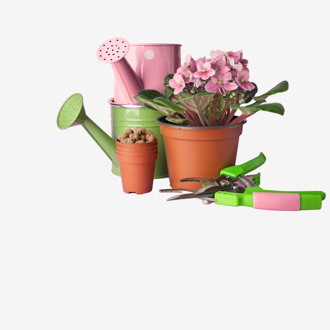 САДОВЫЙ МИР И ОТДЫХ