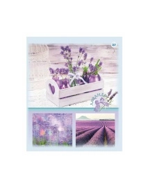 Тетрадь общая (скоба), ф.170х205мм, клетка, 96л., 4+0, СЛ, серия Природа 13 Лаванда