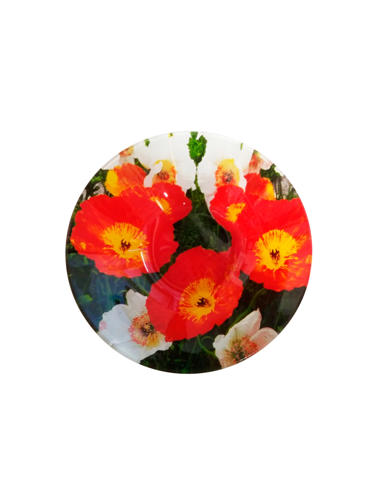 \фото\112131 2.jpg