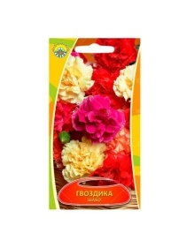 \фото\70497 1.jpg