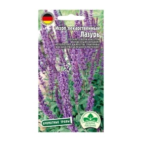 Семена Иссопа лекарственный Лазурь