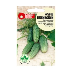 Огурец Нежинский