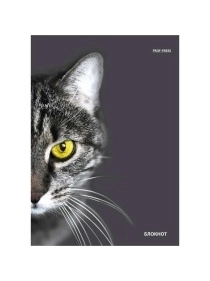 Блокнот А5 80л. в асс-те, на гребне, цвет.мелов.обл, блок-офсет ПХ, Б80-7333