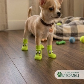 Носочки для животных, 4 шт, размер S, M, L, микс дизайна