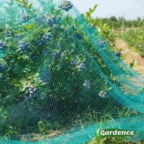 Сетка для защиты урожая от птиц, 5х10м