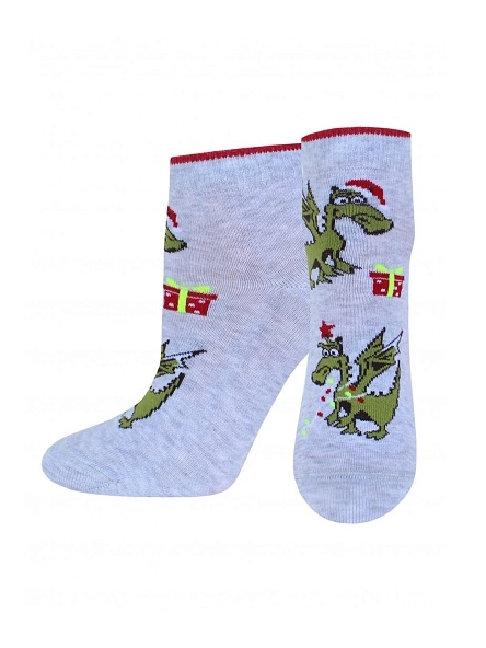 Носки жен. CLASSIC р.25, НГ в асс-те