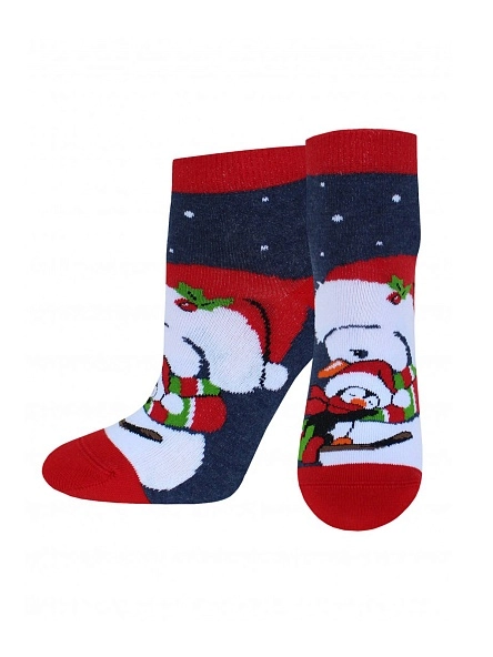 Носки жен. CLASSIC р.25, НГ в асс-те