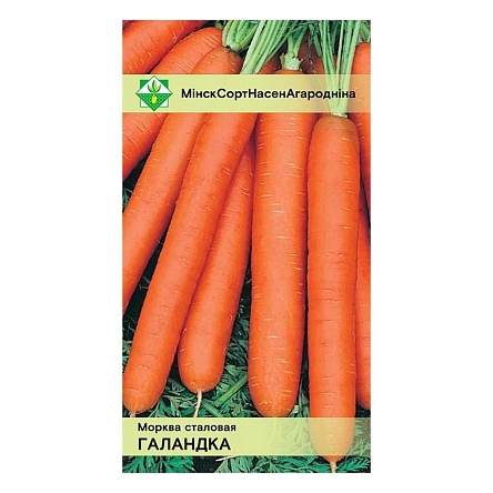 Морковь Голландка столовая 1г