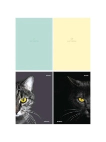 Блокнот А5 80л. в асс-те, на гребне, цвет.мелов.обл, блок-офсет ПХ, Б80-7333