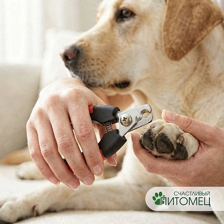 Когтерез, 12.3*4.5 см, пластик, нержав.сталь