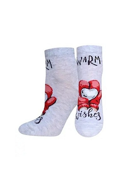 Носки жен. CLASSIC р.25, НГ в асс-те