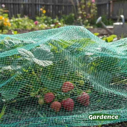 Сетка для защиты урожая от птиц, 4х5м 