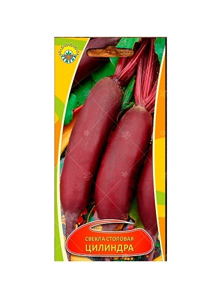 Свекла Цилиндра 2г