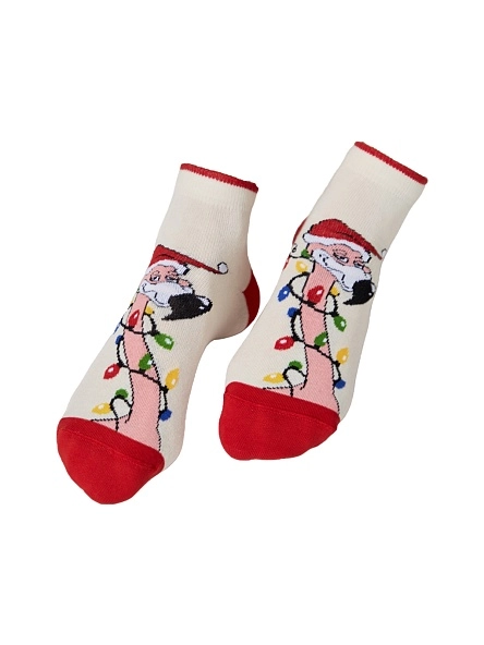 Носки жен. CLASSIC р.25, НГ в асс-те