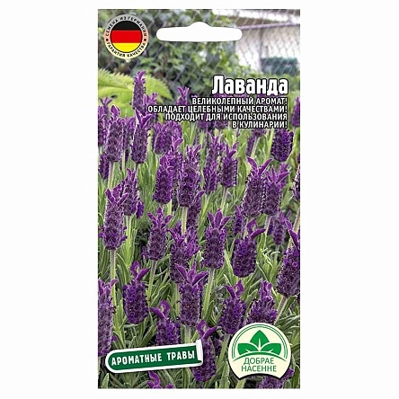 Семена Лаванды